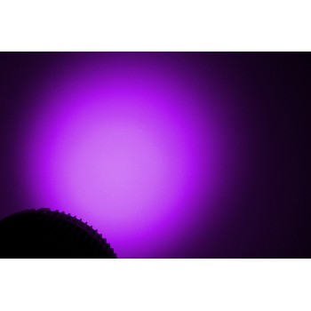 Event Lighting Lite PAR19X12L - Par 19 x 12W RGBWAU