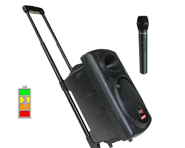 Portable PA system with one mic