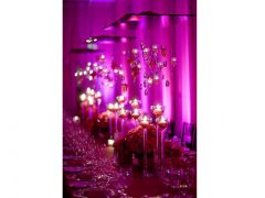 Wedding Premium Uplight and Effect Pack