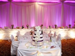 Wedding Premium Uplight and Effect Pack